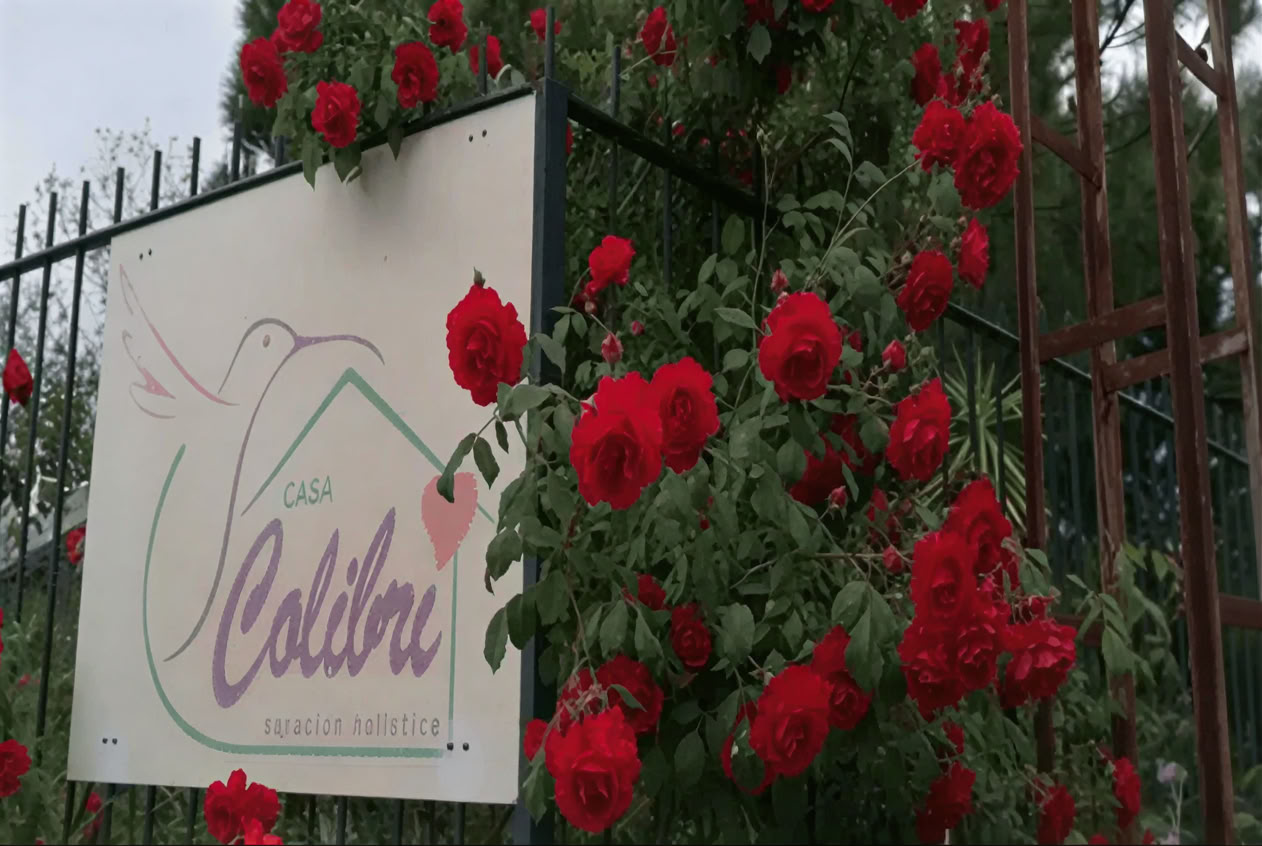 Casa Colibrí (Salute olistica)