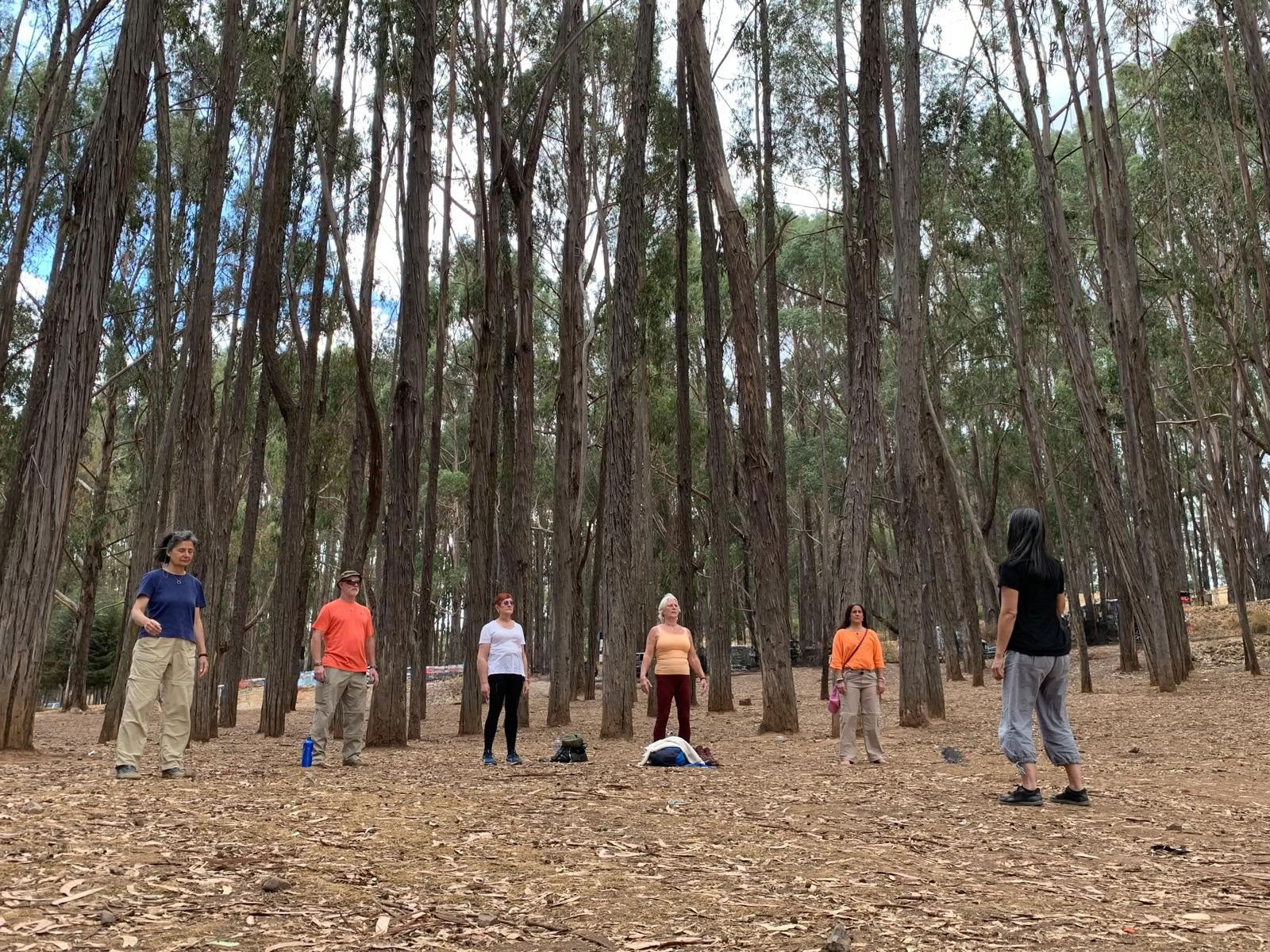 Balance Holistic Retreat Peru