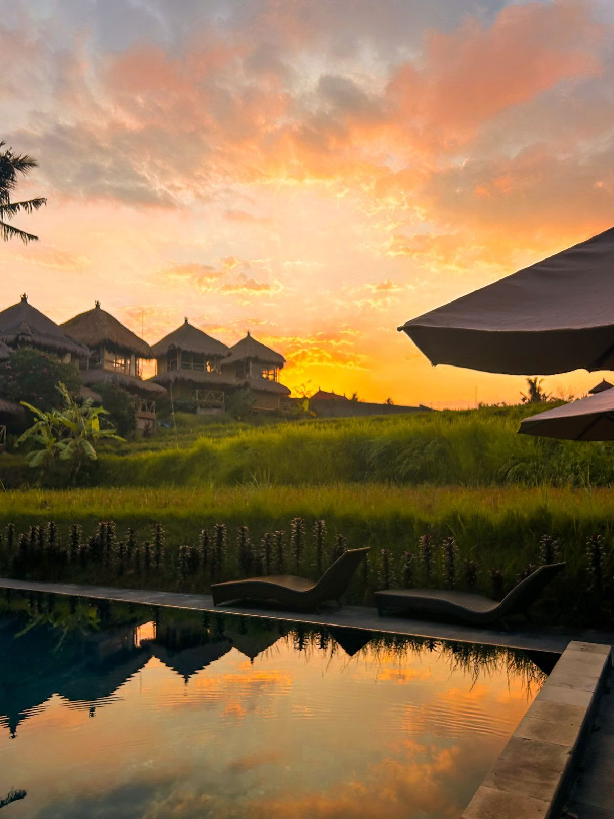 Shades of Yoga - Formazione Insegnanti di Yoga Bali
