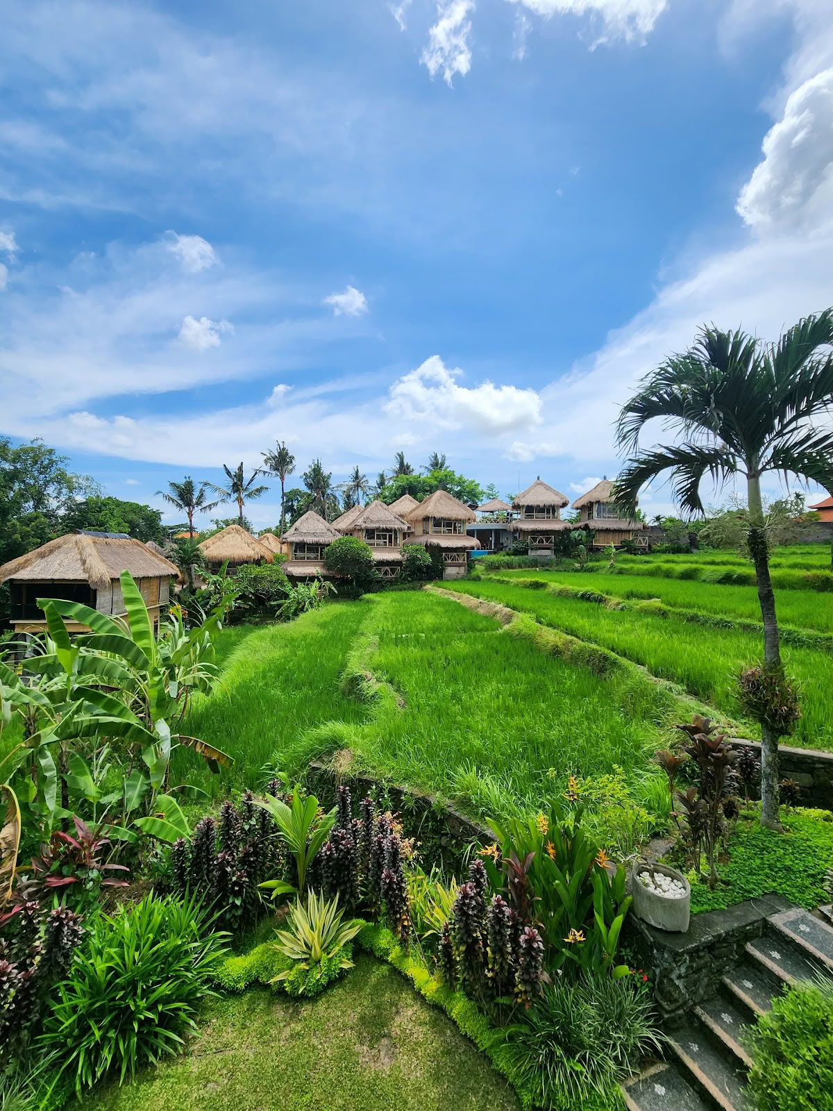 Shades of Yoga - Formazione Insegnanti di Yoga Bali