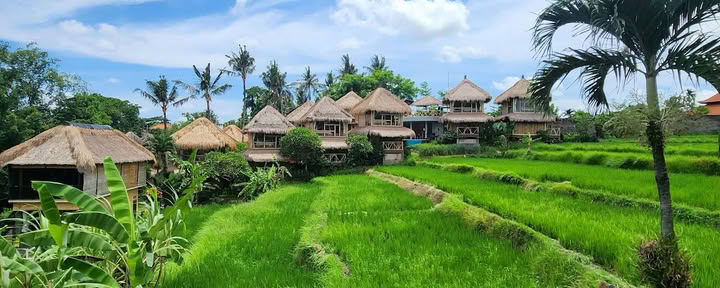 Shades of Yoga - Formazione Insegnanti di Yoga Bali