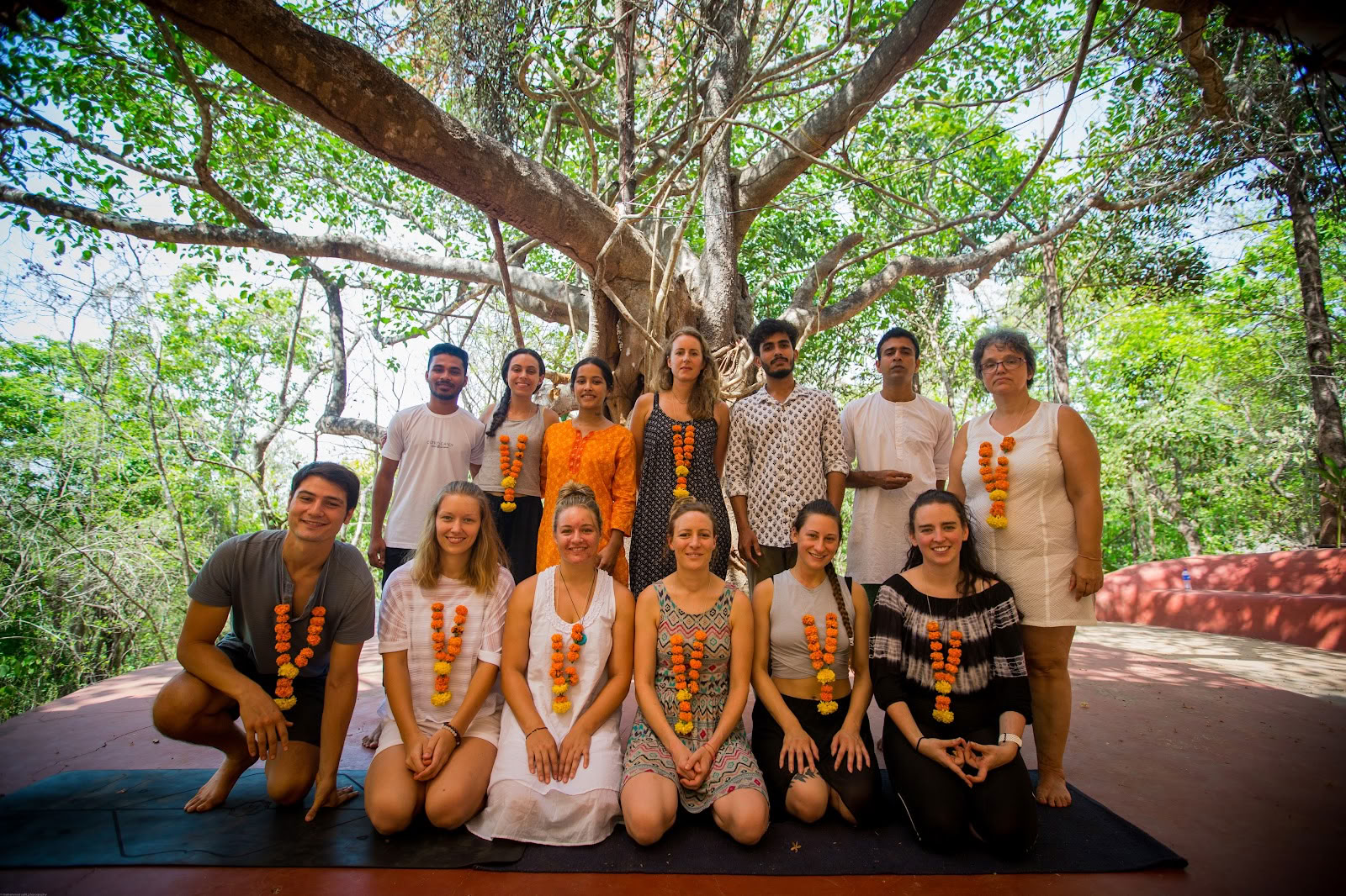 Tapas Yoga India| Miglior formazione insegnanti di yoga e ritiro di yoga in India