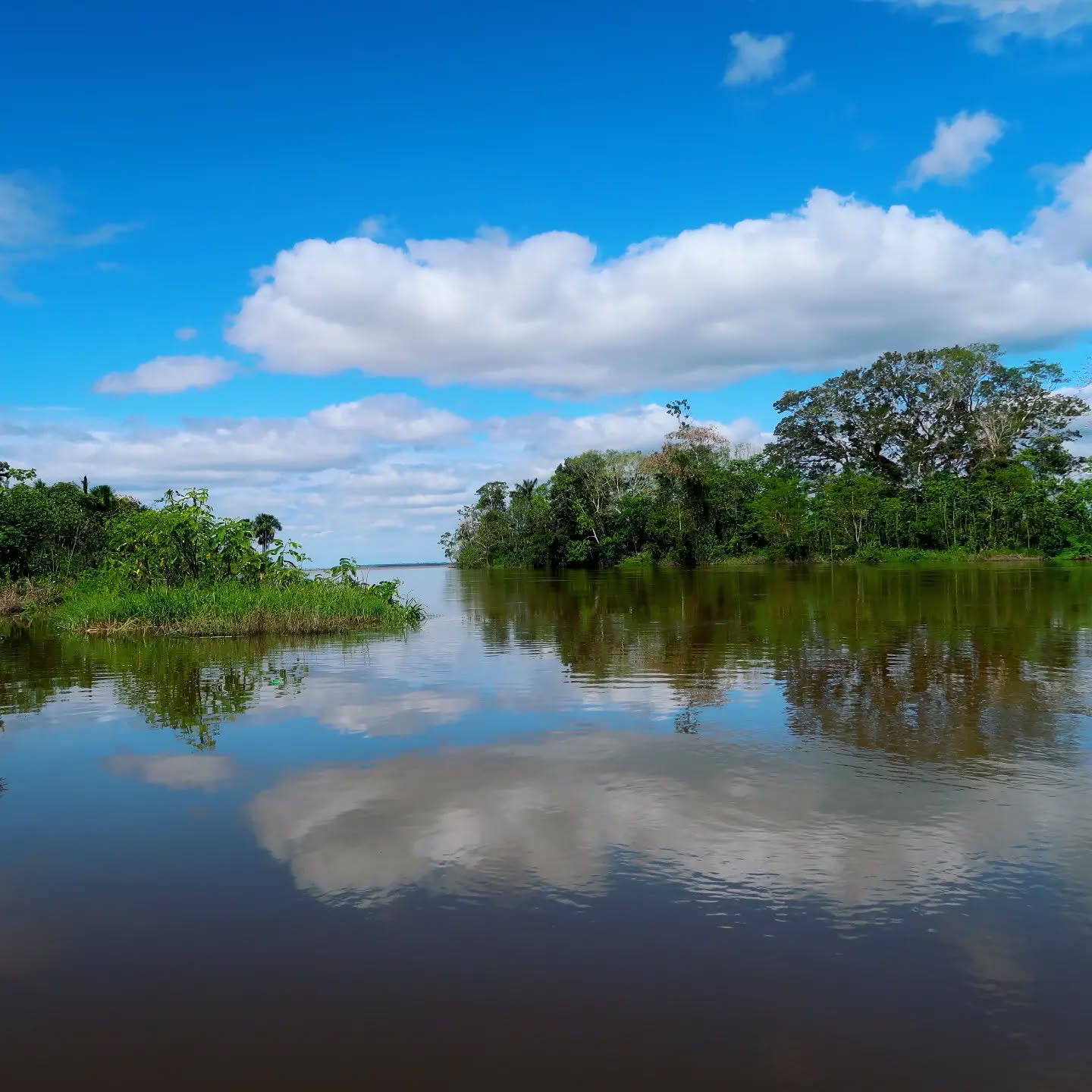 La Luna dell’Amazzonia