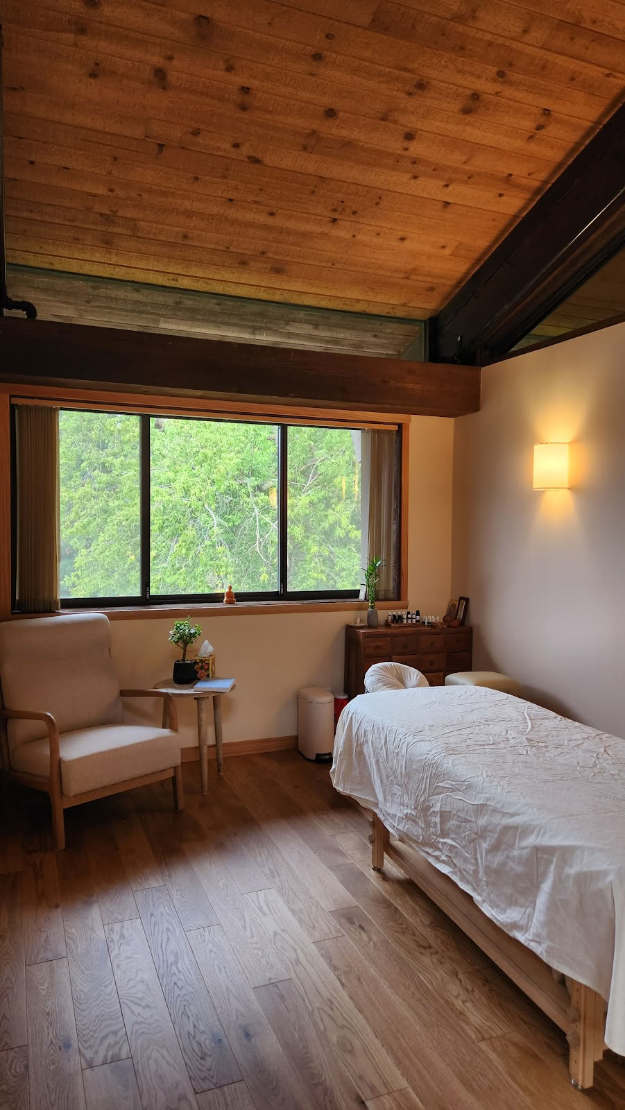 Camino Wellness Center | Agopuntura & Meditazione