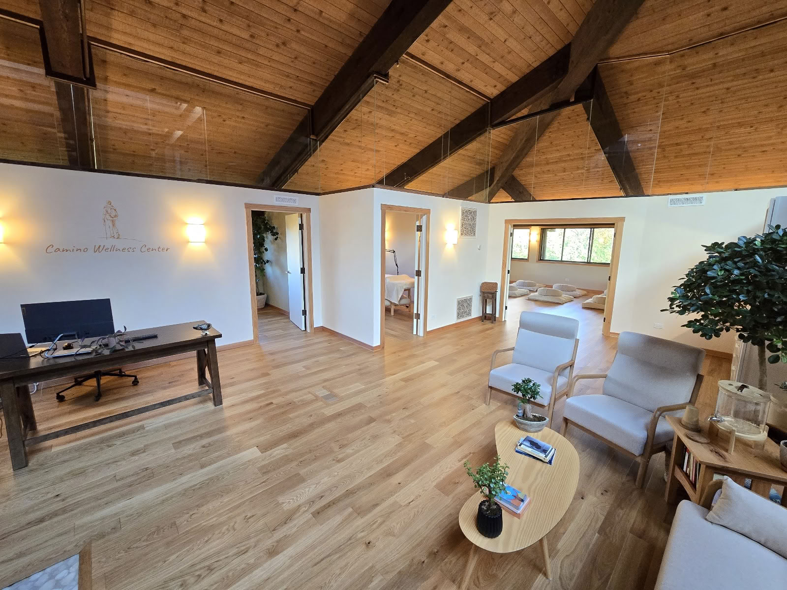 Camino Wellness Center | Agopuntura & Meditazione