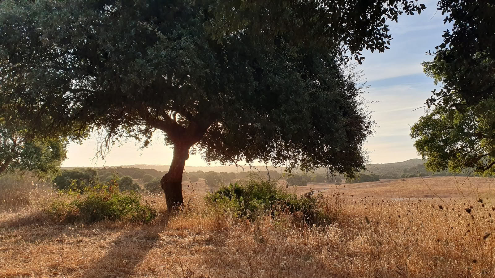 Yoga con María | Sotogrande