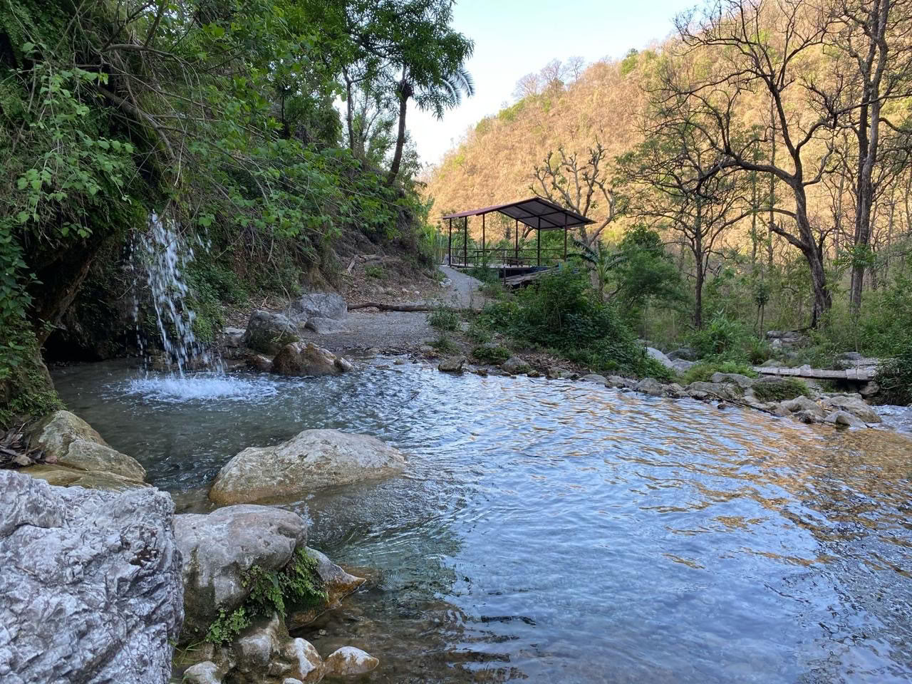 Mind Flow Harmony - La migliore scuola di formazione per insegnanti di yoga a Rishikesh