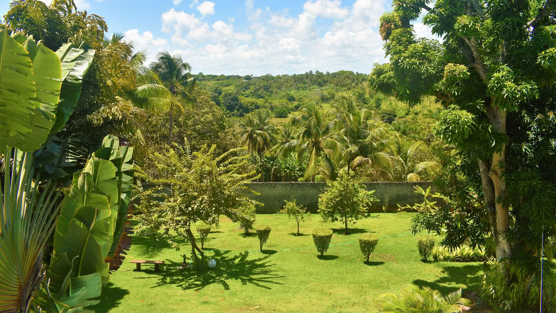 Ritiro Ayahuasca Brasile