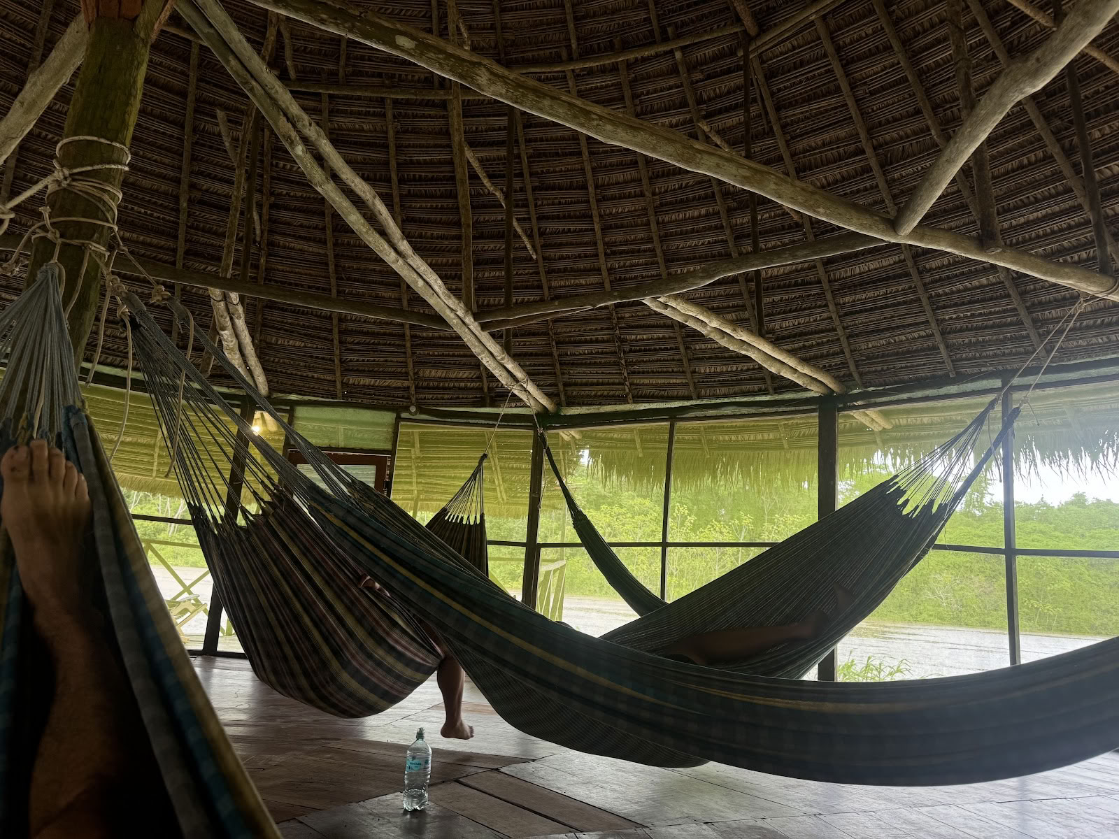 Ayahuasca Eco Tours
