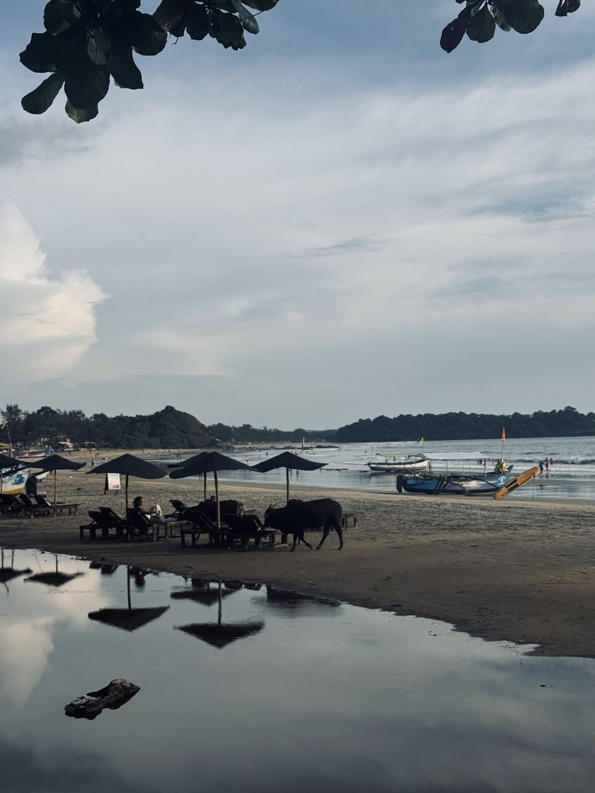 Brothers Ayurveda e Yoga Retreat