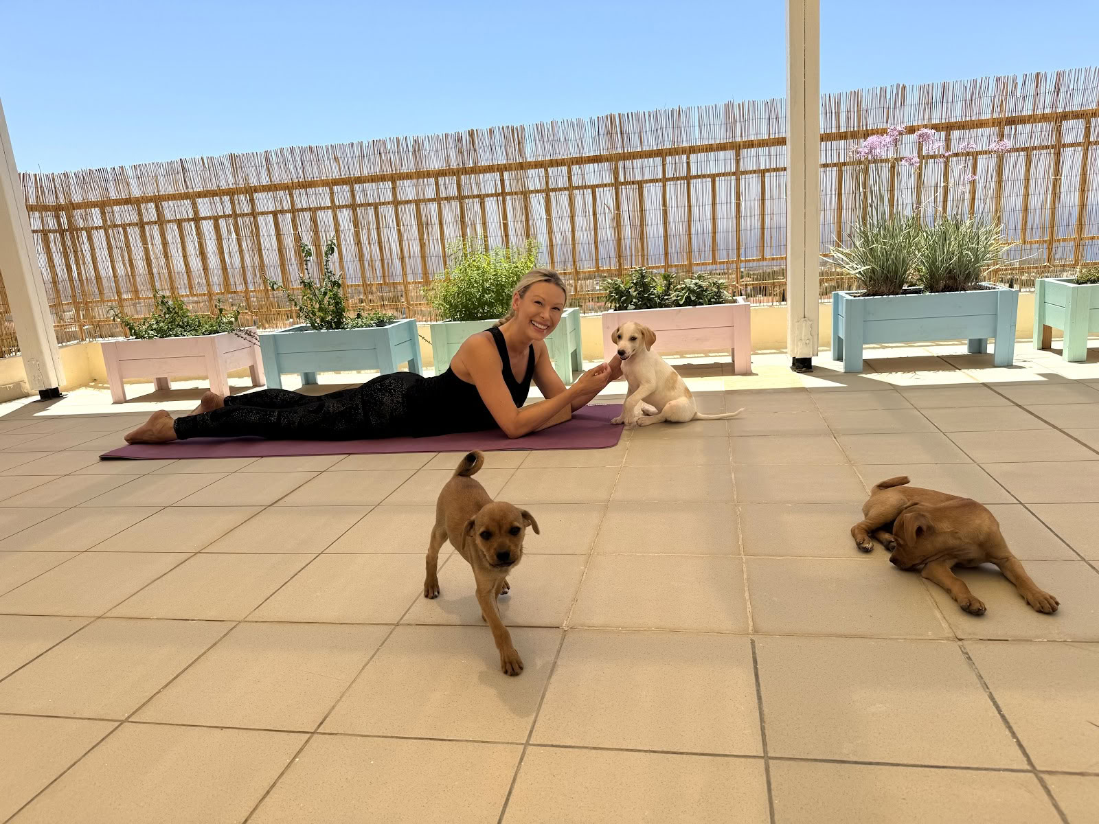 Puppy Yoga Ritiro
