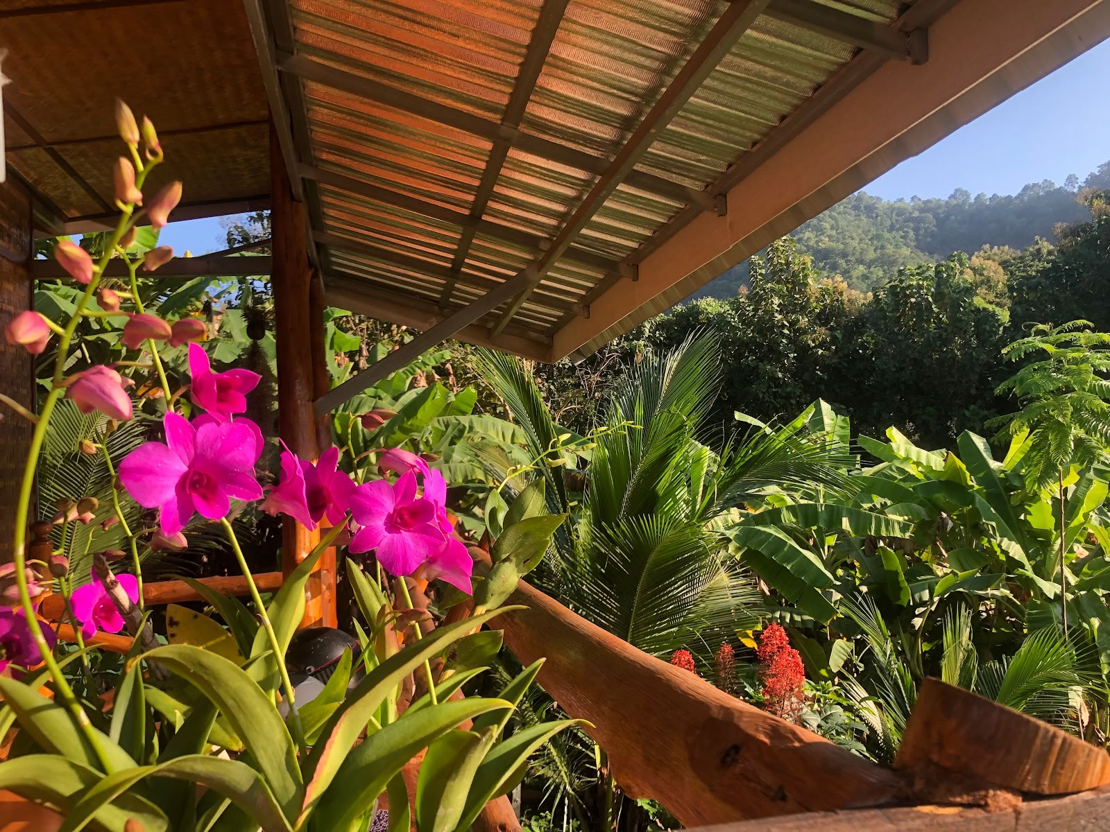 True Nature Chiang Mai - Yoga & Meditation Home Stay Ritiro