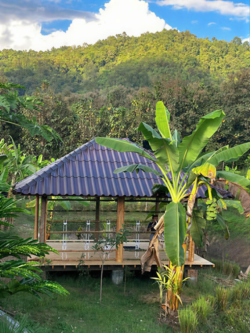 True Nature Chiang Mai - Yoga & Meditation Home Stay Ritiro