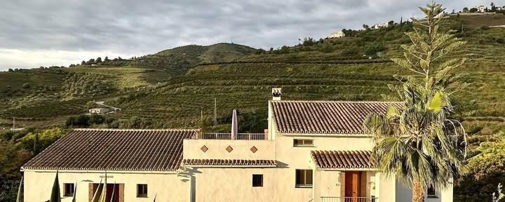 Risveglia l'Amore