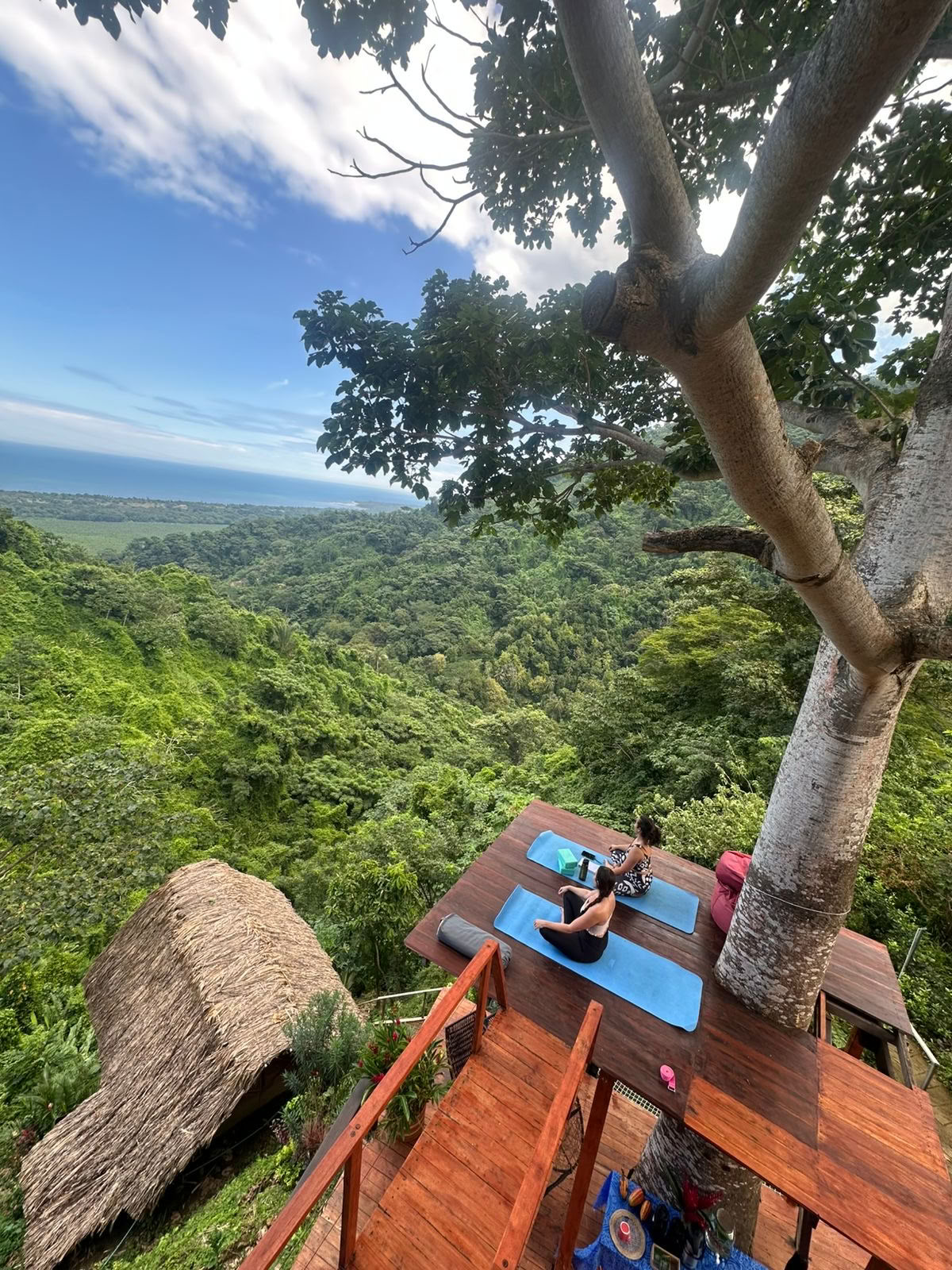 Ahimsa Yoga School