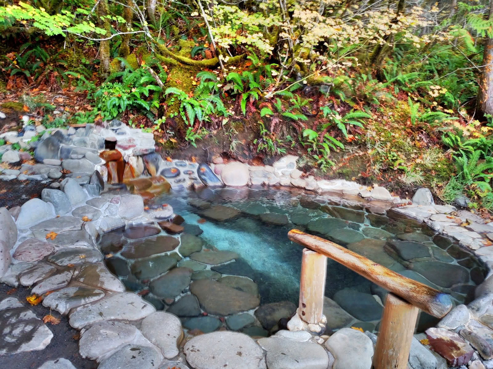 Breitenbush Hot Springs Ritiro and Conference Center