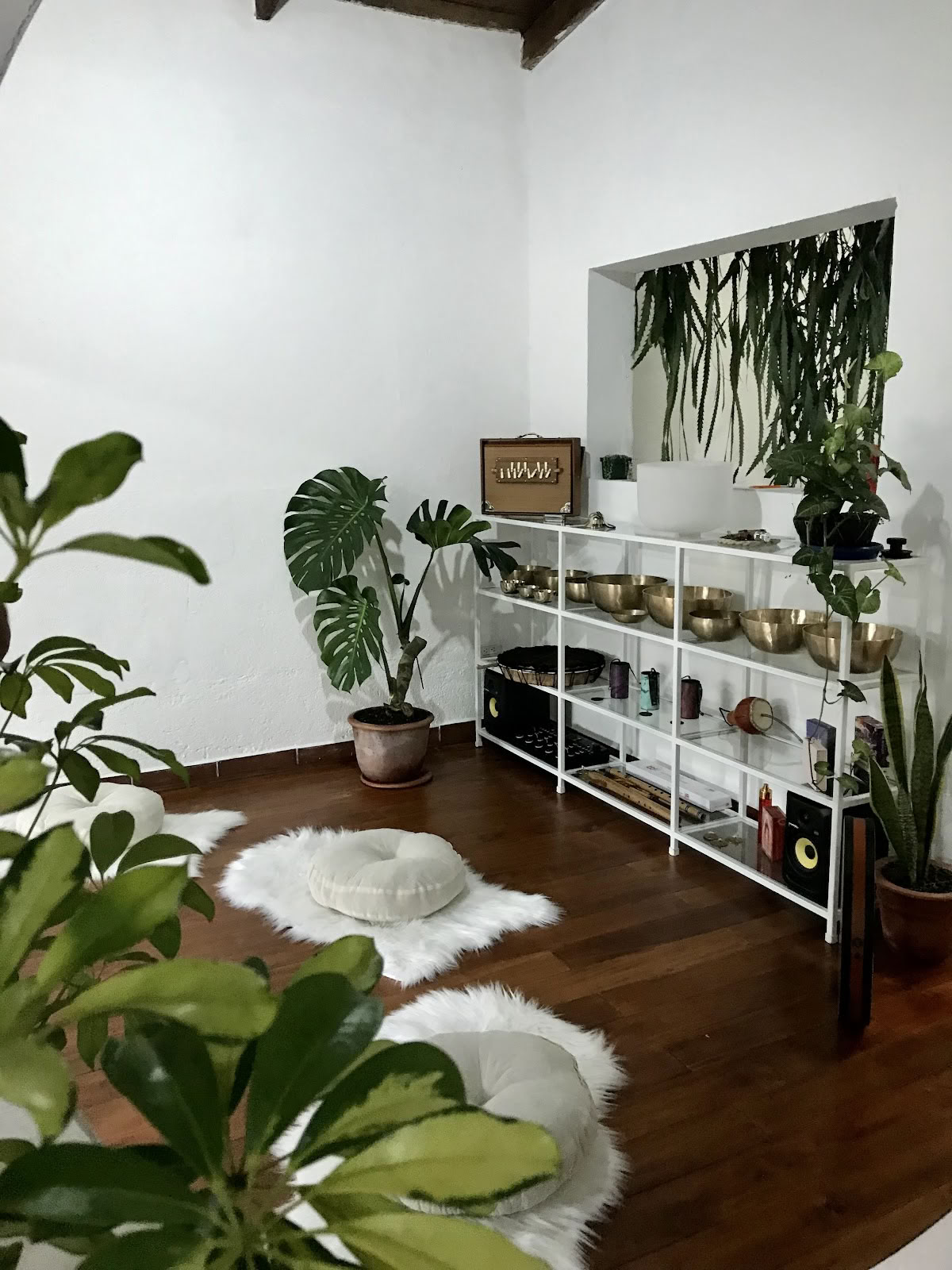 Holistic Bloom - Centro Salute e Benessere
