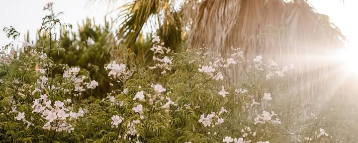Transform to Bliss Yoga, Event & Wellness Space - Lagos, Algarve