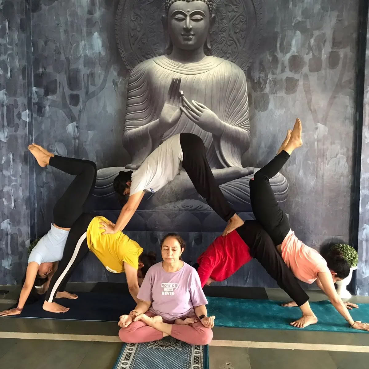 Sunshine yoga /Le migliori lezioni di yoga ad Amritsar /Lezioni di yoga ad Amritsar /Yoga ad Amritsar