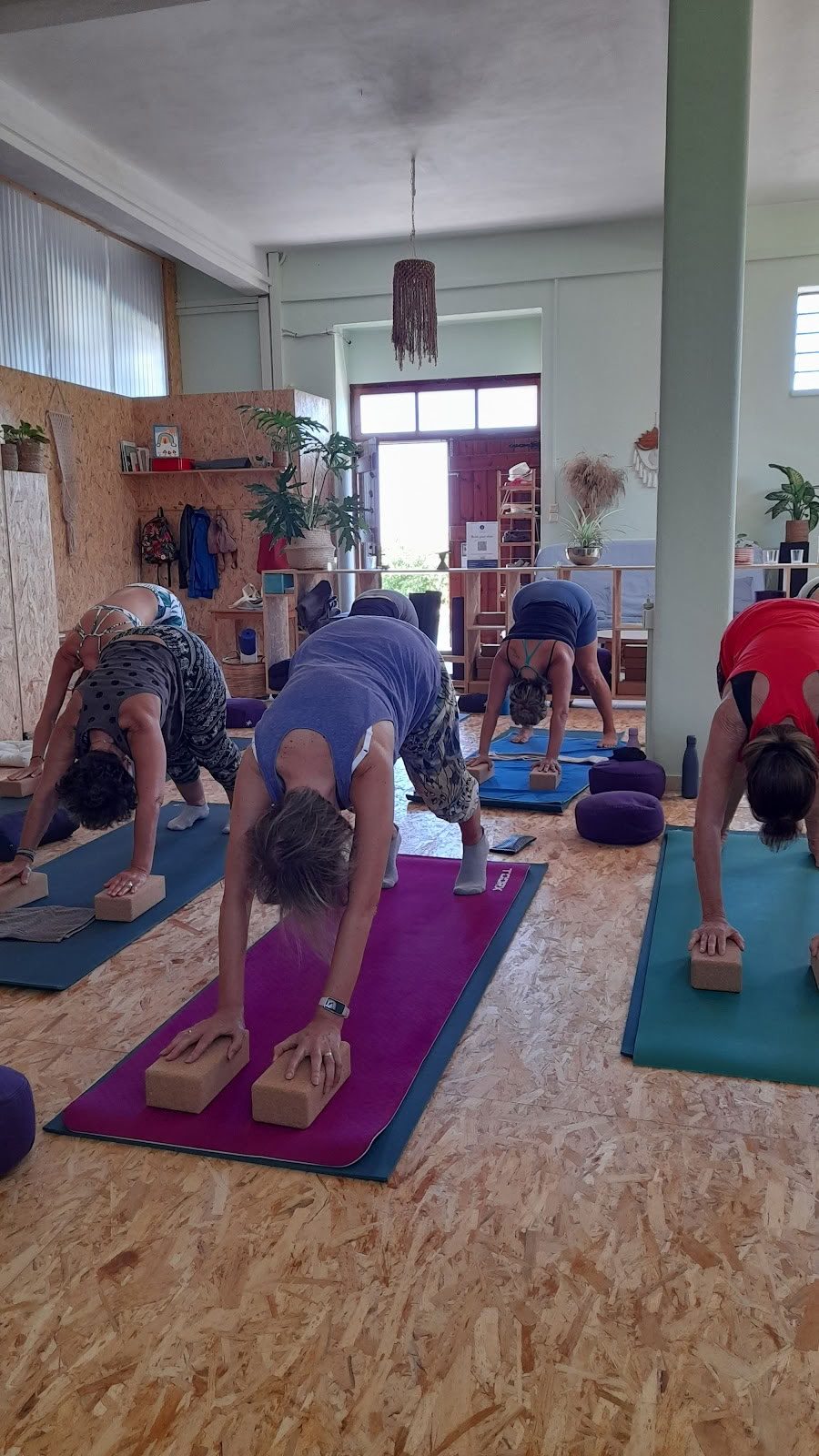 Yoga Holon