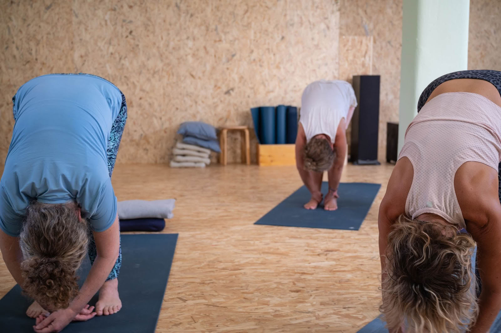 Yoga Holon