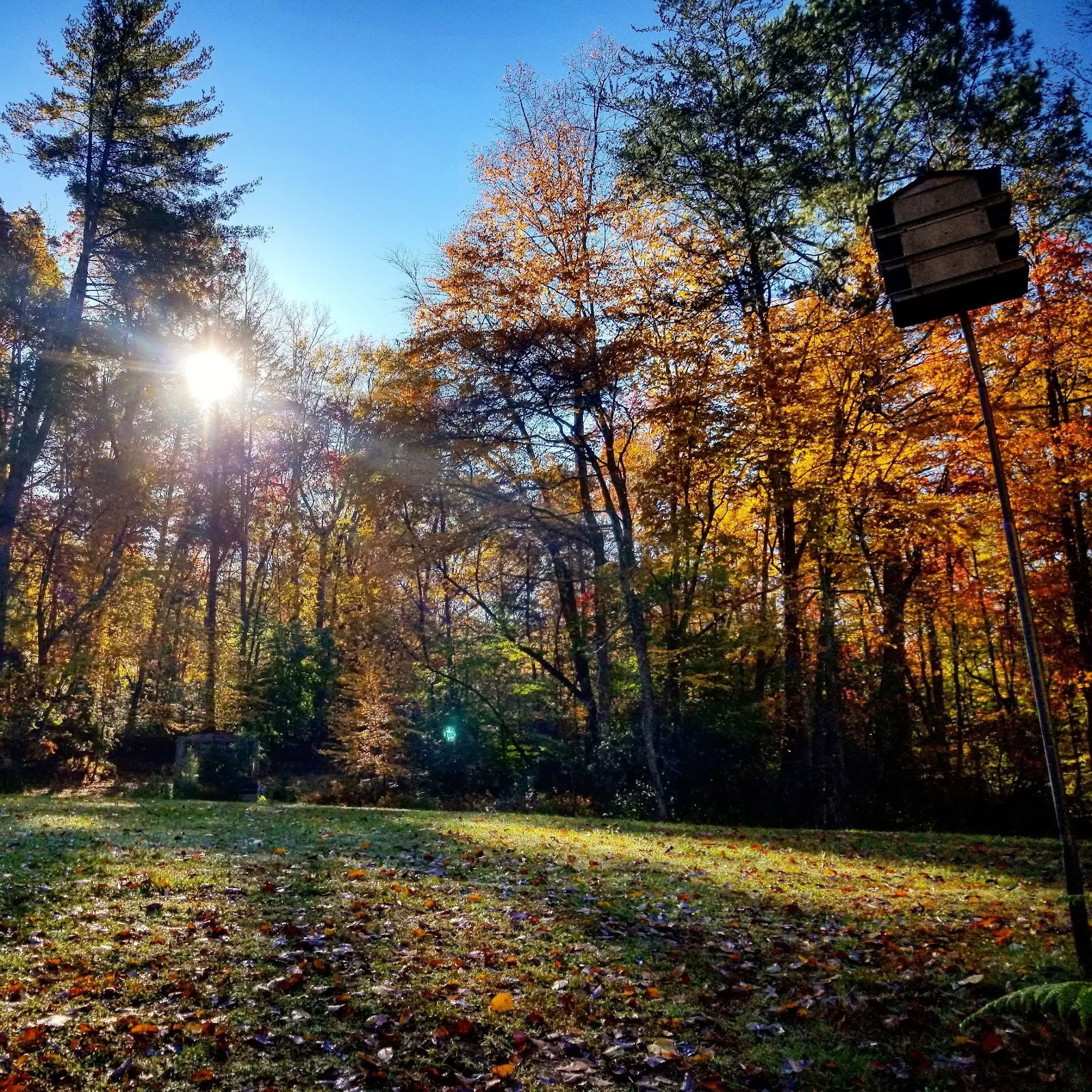 Medicina dell’Anima Inc.