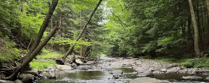 Ritiro spirituale nella natura del Blue Deer Center