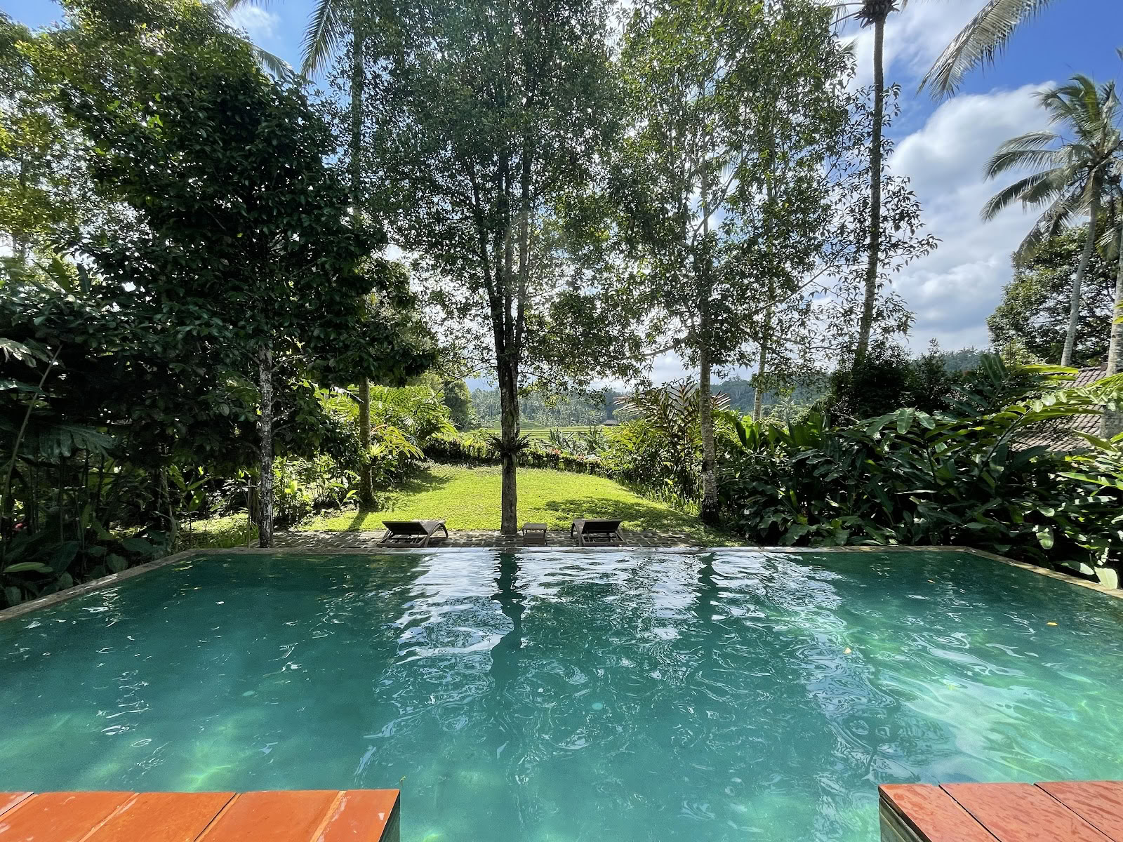 Clove Tree Hill - Eco Resort di Bali