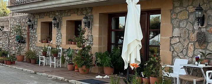 Ashram Mallorca | Viaggi di Breathwork | EMDR e Ipnosi | Coaching | Apertura del Cuore e Lavoro sulla Visione