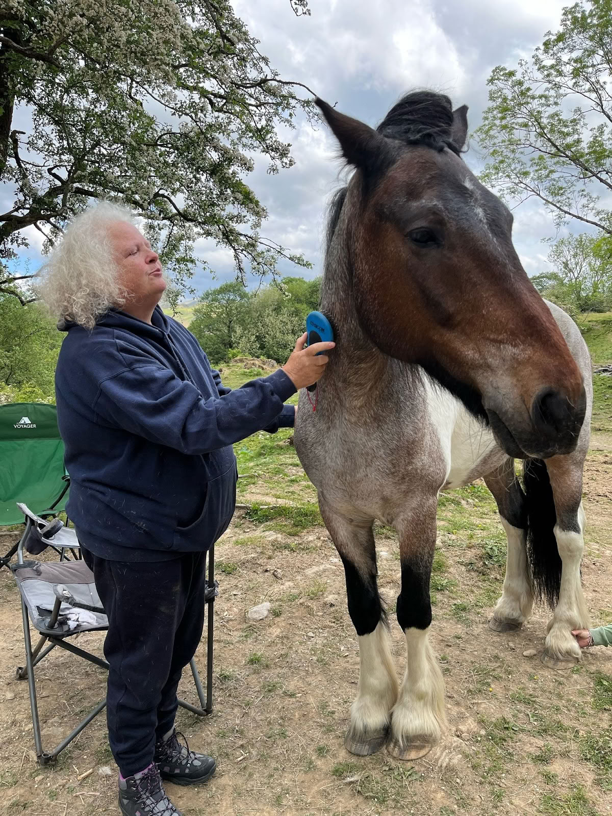 Meditate with Horses Ltd