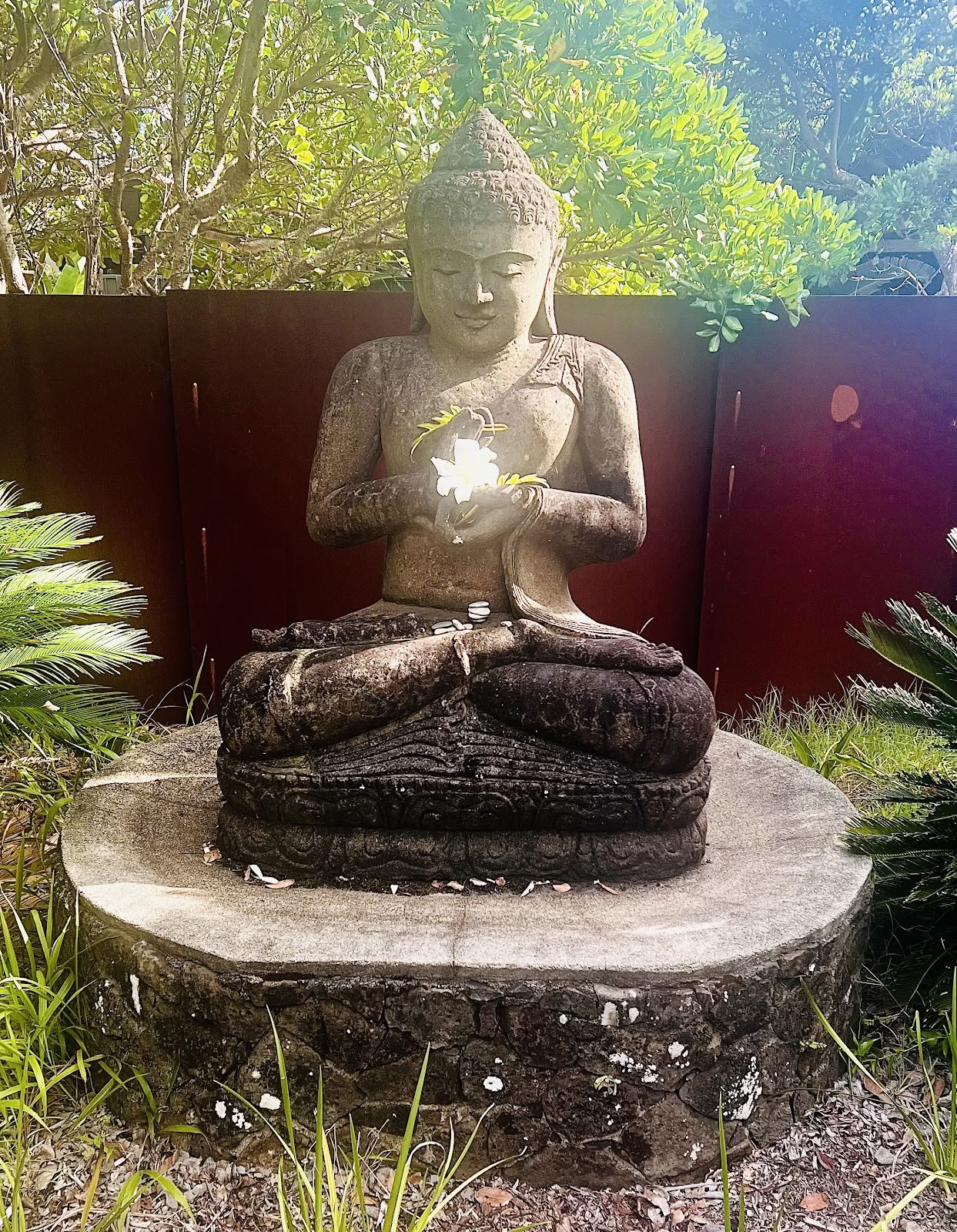 Byron Bay Ritiri
