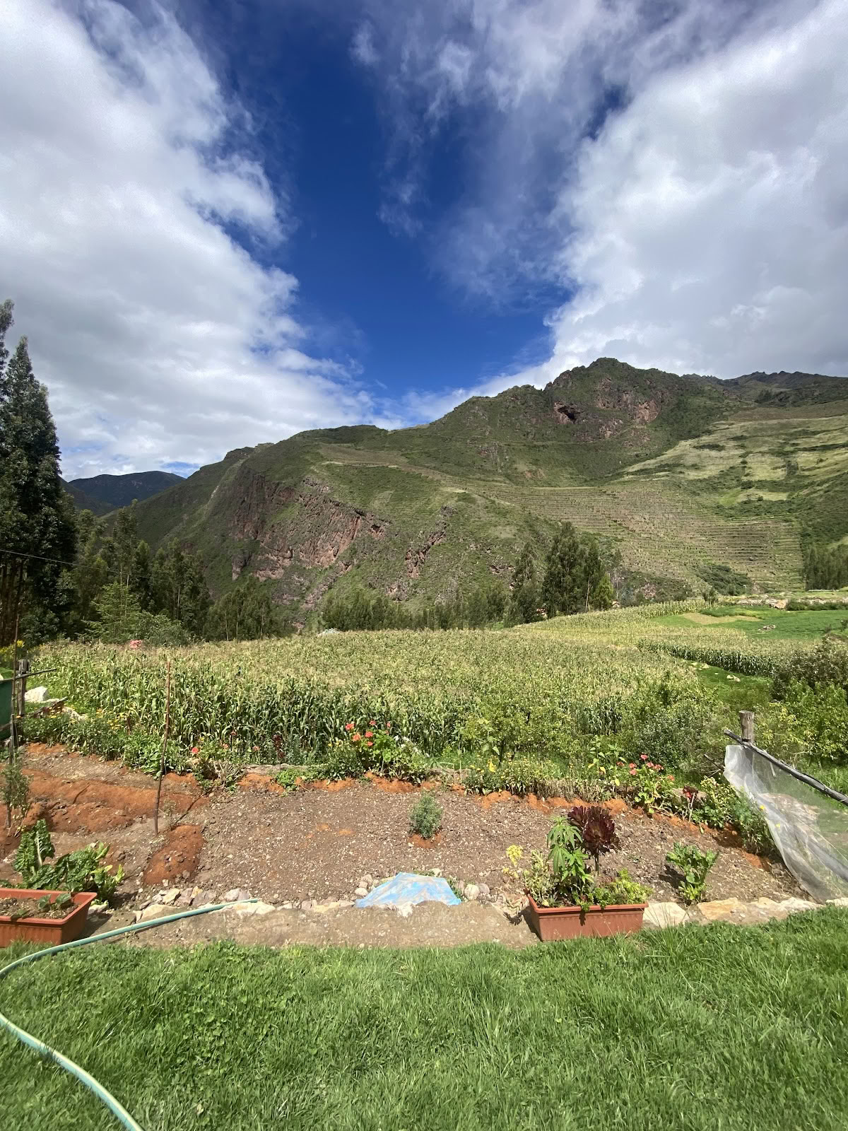 Centro Spirituale dell’Ayahuasca di Cusco