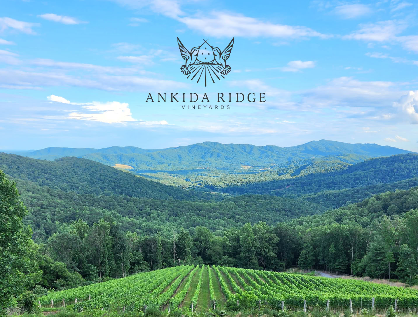 Vigneti di Ankida Ridge