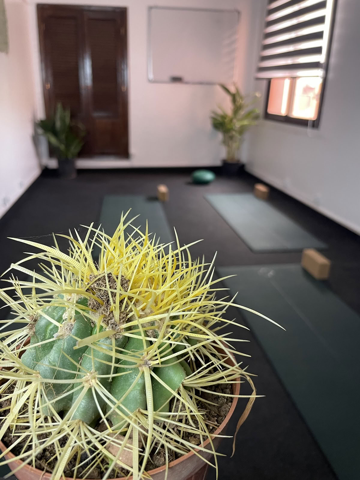 Kioze - Yoga Marrakech, Studio di Yoga 100% Femminile, Pilates Marrakech, Danza Orientale, Boxe per Donne, Corsi di Yoga Marrakech
