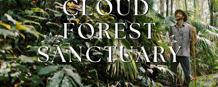 Santuario della Foresta Nebulosa di Kona