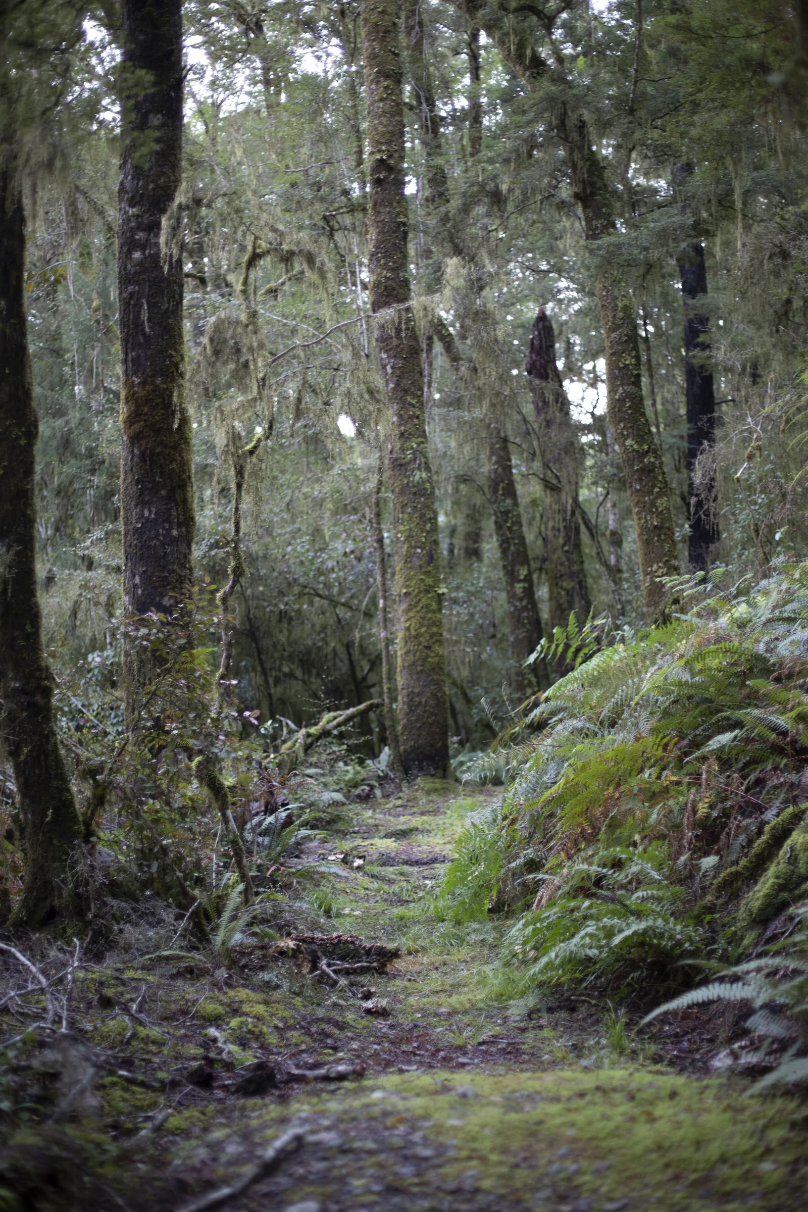 Ritiro sul fiume Maruia