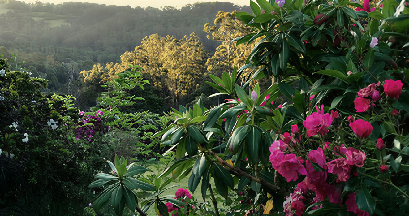Ritiro Mirador Springs