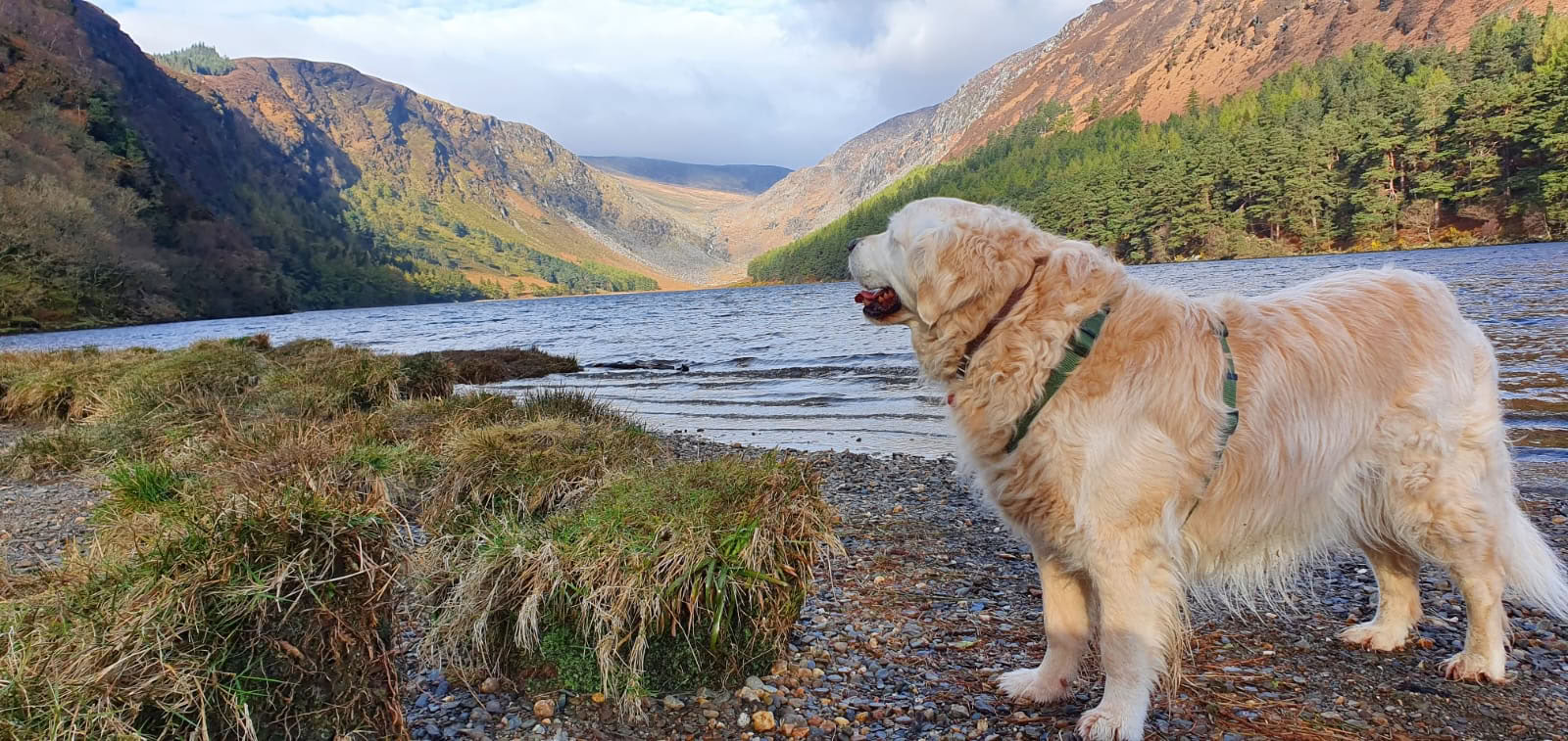 Santuario di Glendalough