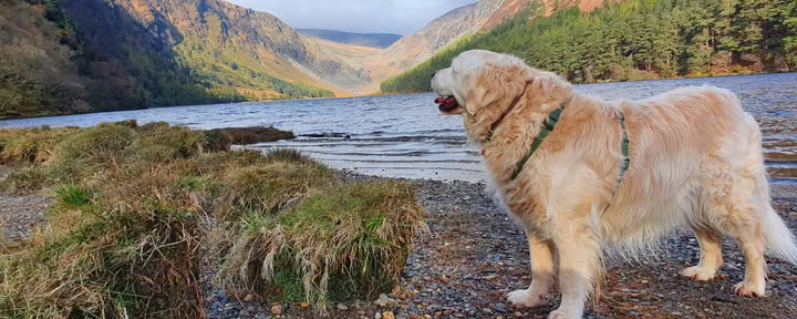 Santuario di Glendalough