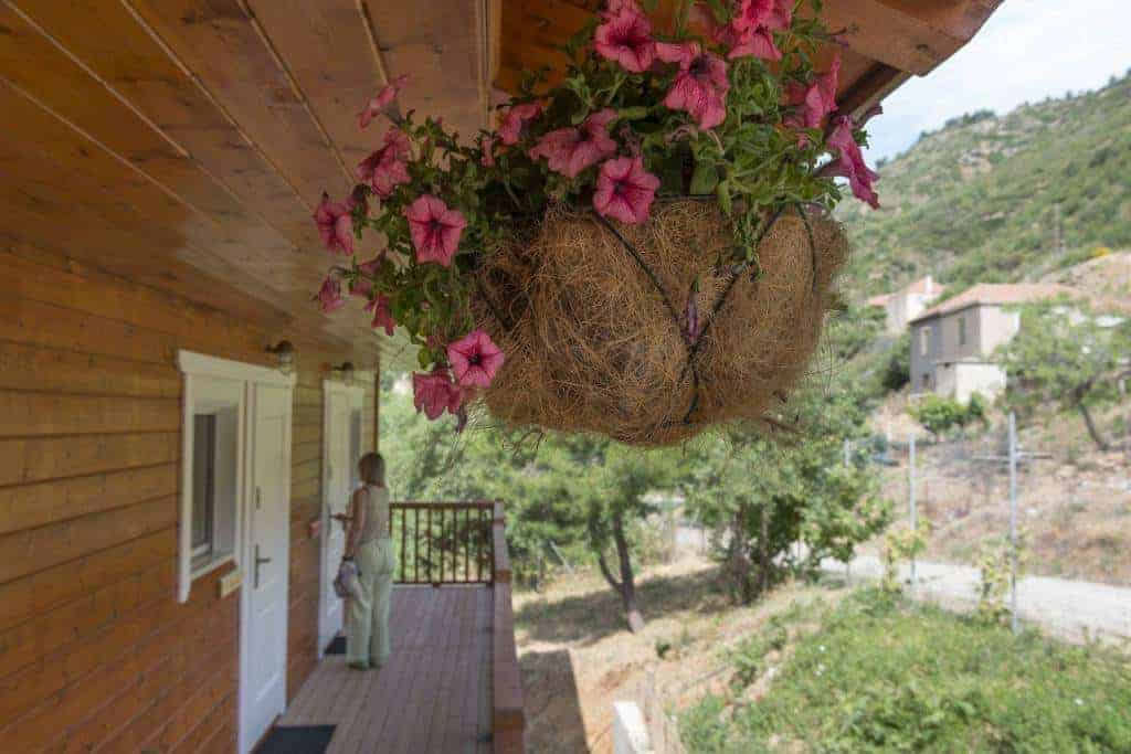 Ktima Noosfera Centro Benessere e Ritiri