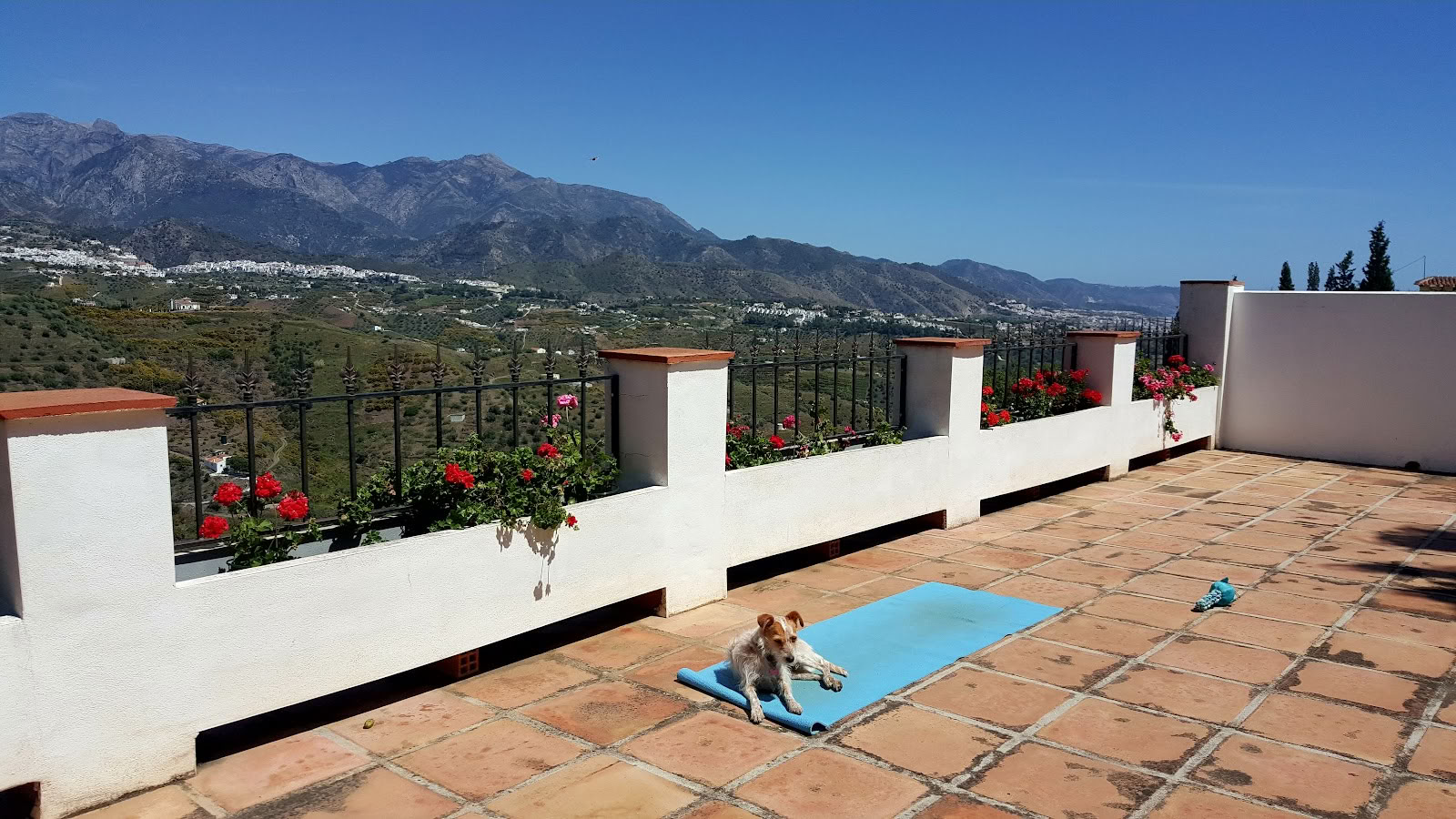 Vacanza Yoga Paradiso. La Rejana