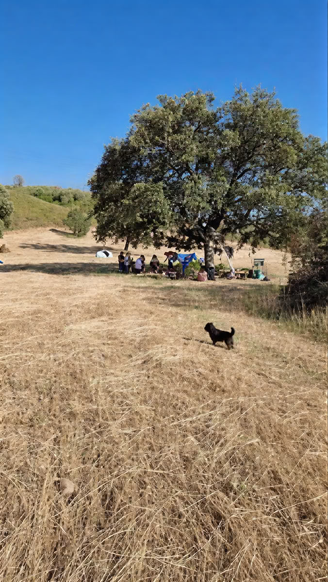 Scuola di Sopravvivenza nel Bosco