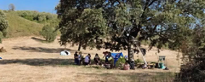 Scuola di Sopravvivenza nel Bosco