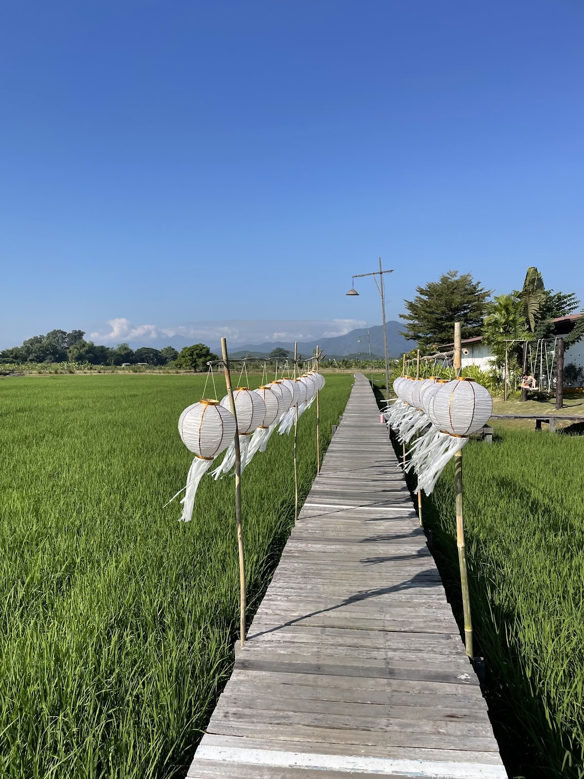Centro Ritiri Yoga Suan Sati