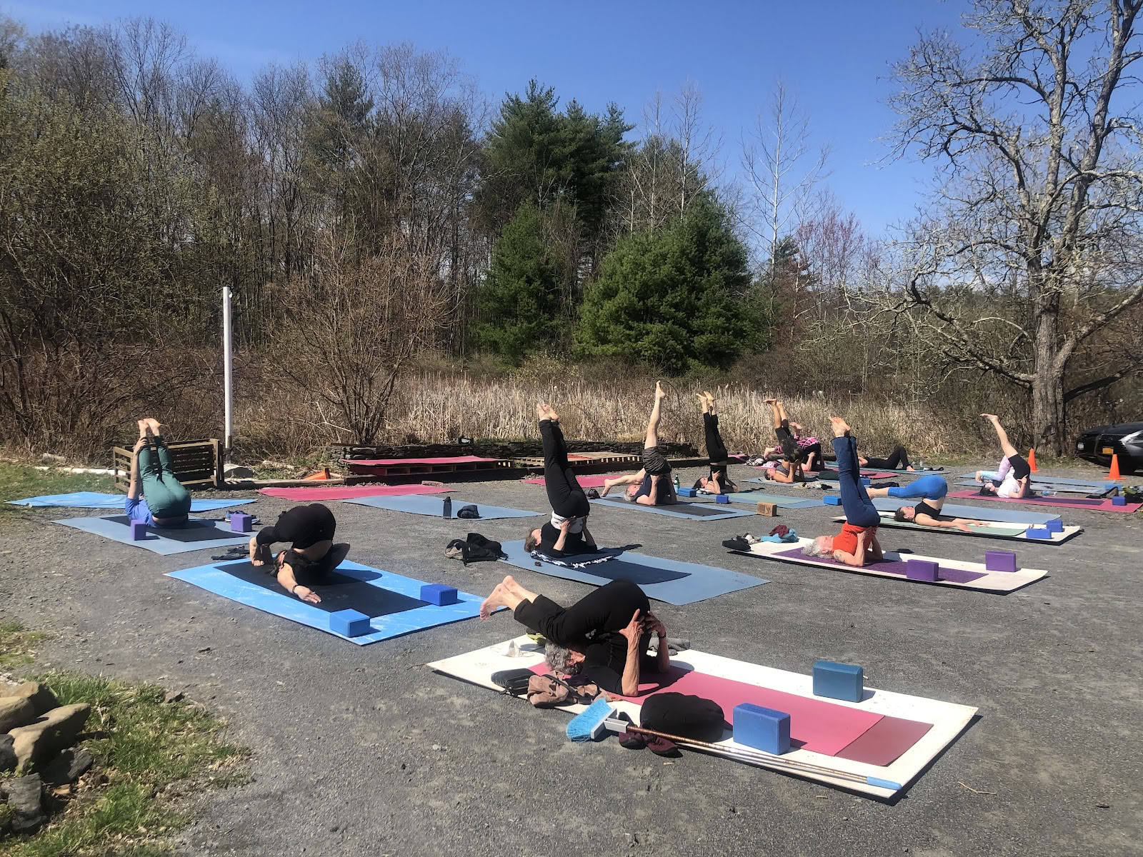 Shakti Yoga Woodstock