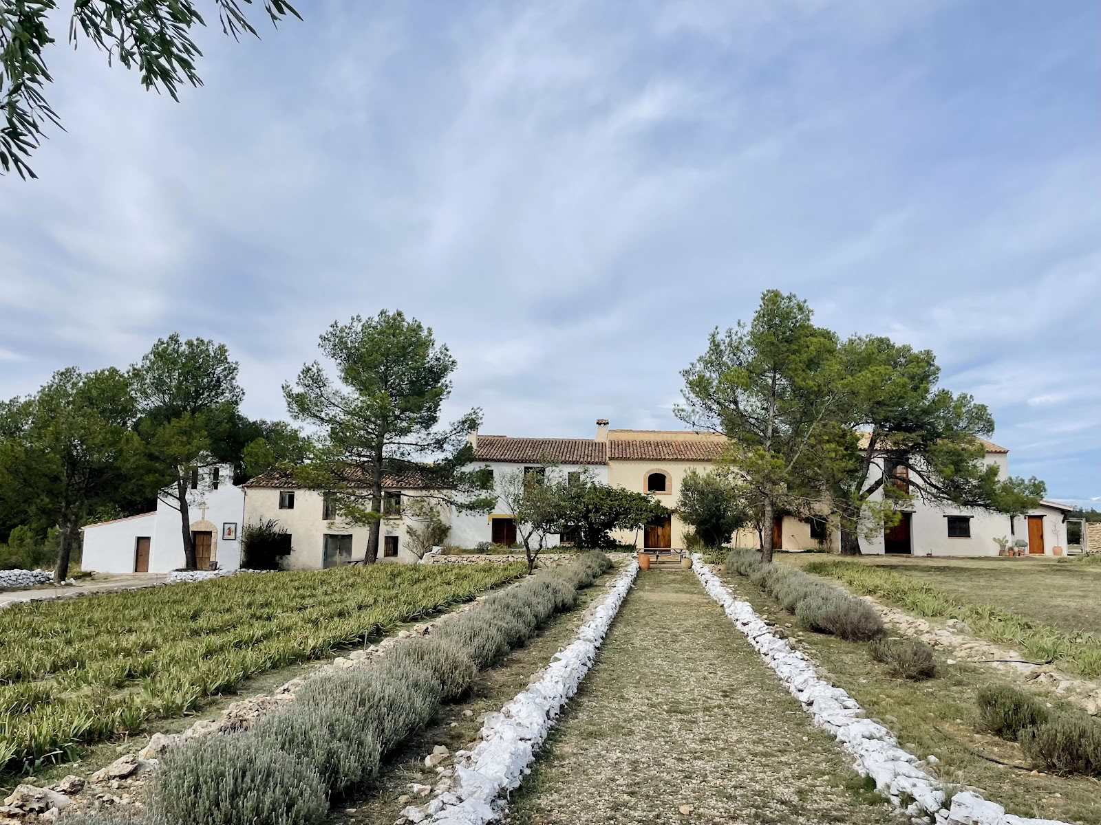 Casas Benali