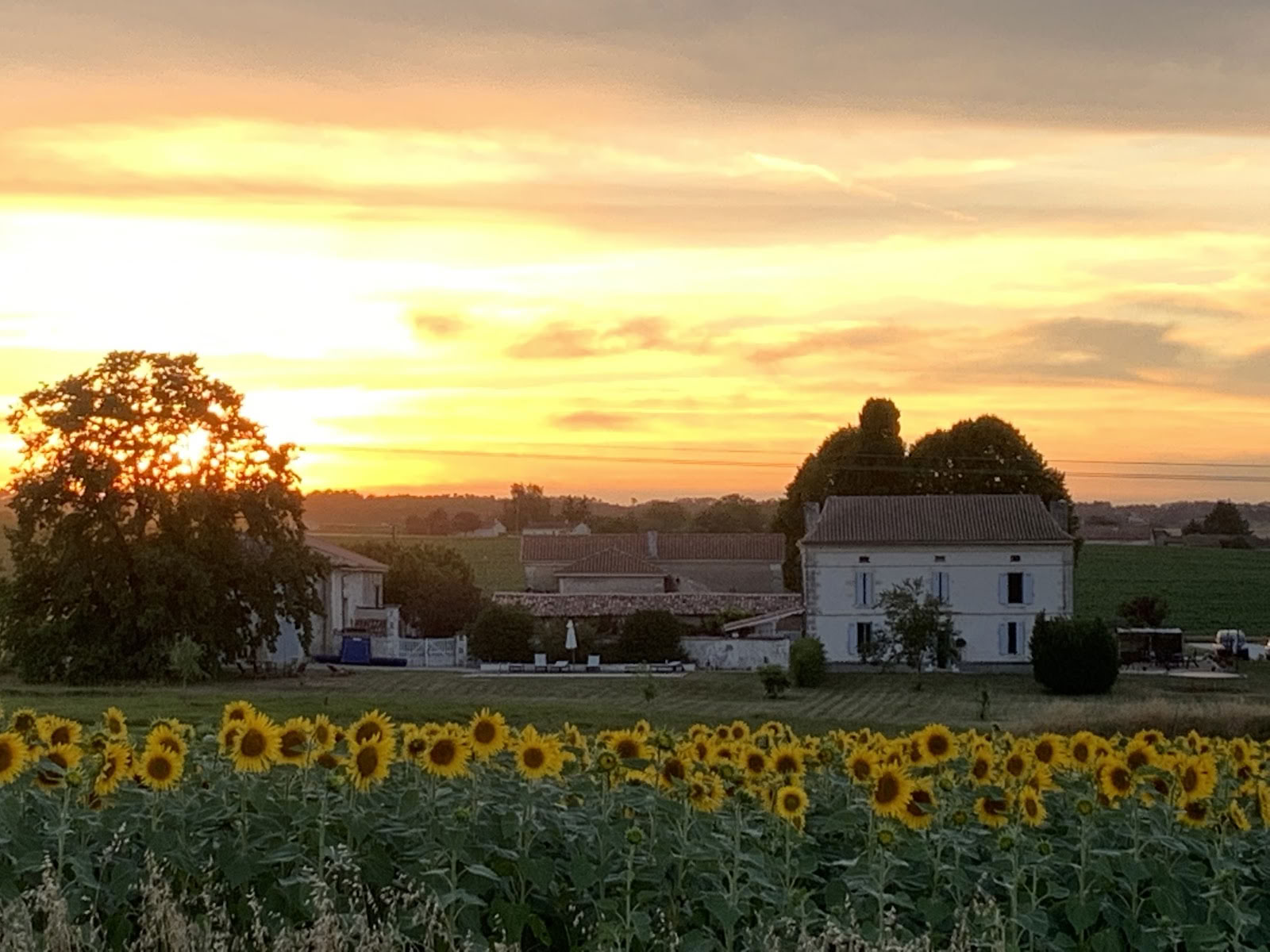 Il ritiro francese