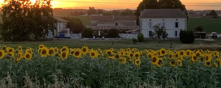 Il ritiro francese