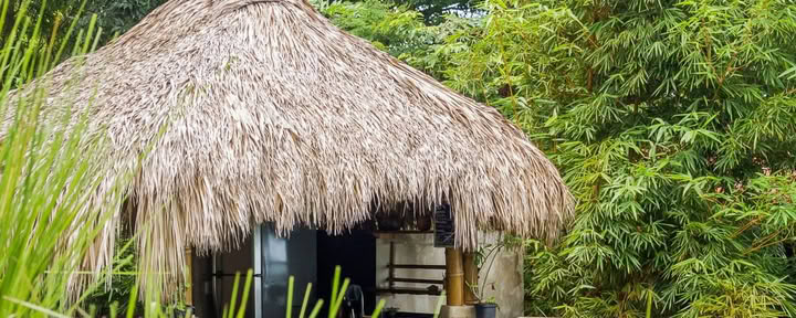 Santosha Surf Sanctuary & Wellness