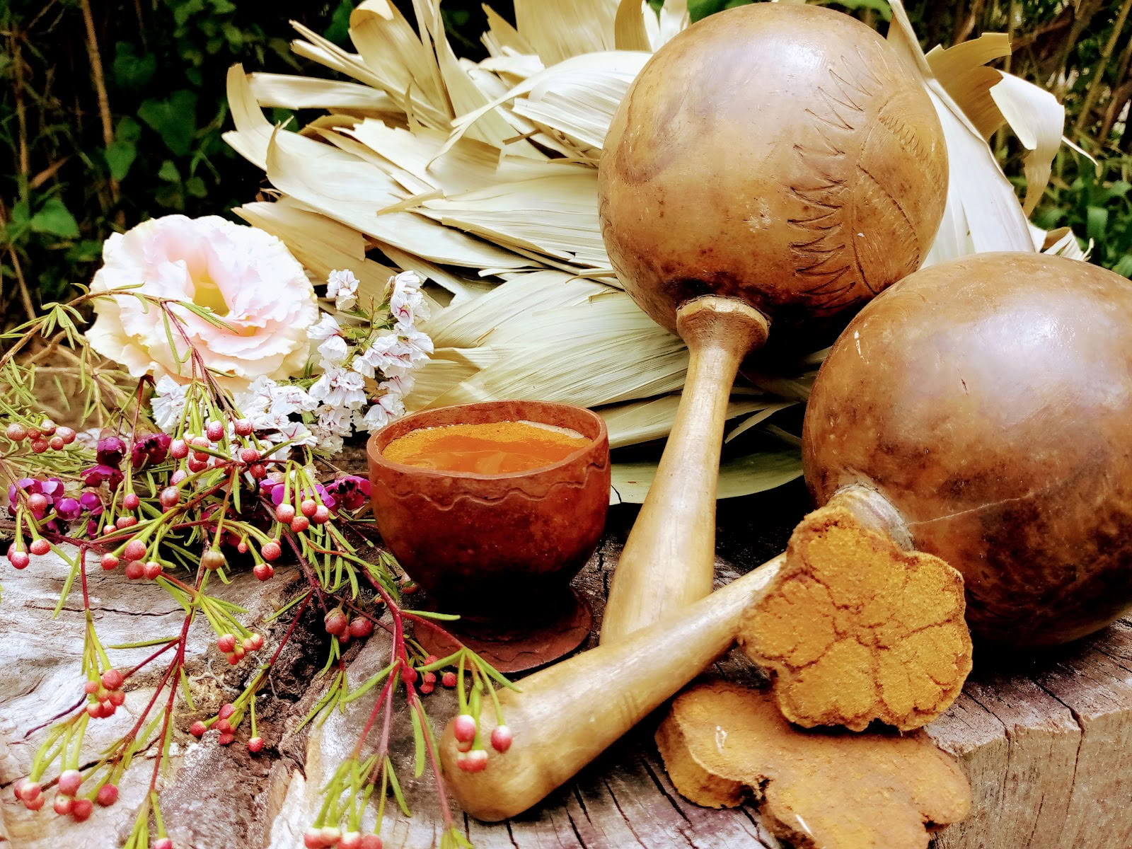 Guarigione Solare - Cerimonia di Ayahuasca